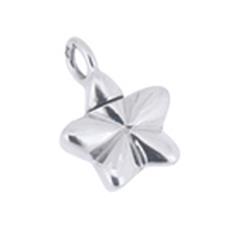 Hanger Ster zilver incl. collier